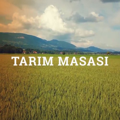 Tarım-Masası---Web-Sayfası